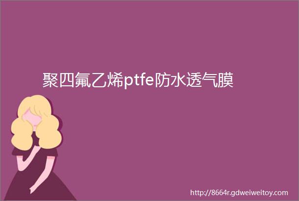 聚四氟乙烯ptfe防水透气膜