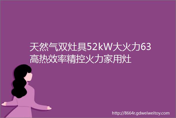 天然气双灶具52kW大火力63高热效率精控火力家用灶